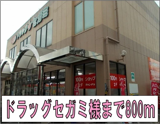 ドラッグセガミ様まで800m