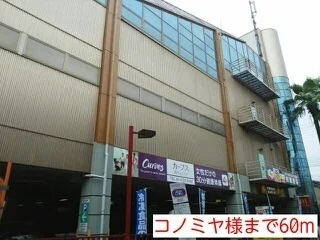 コノミヤ様まで60m