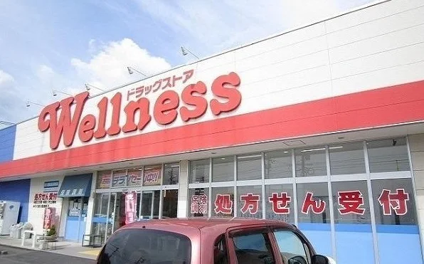 ウェルネス春日店まで600m