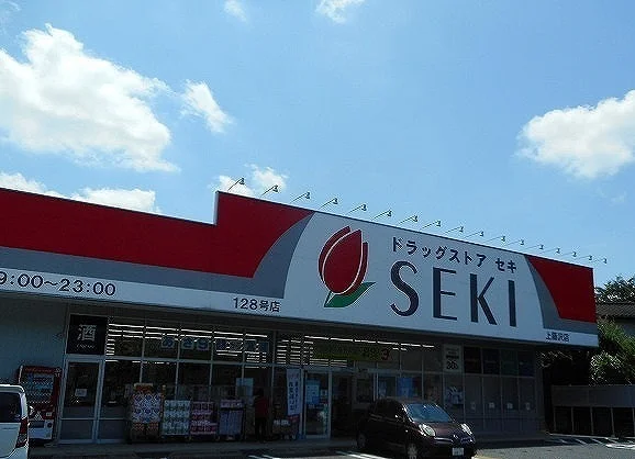 ドラッグストアセキ 上藤沢店まで800m