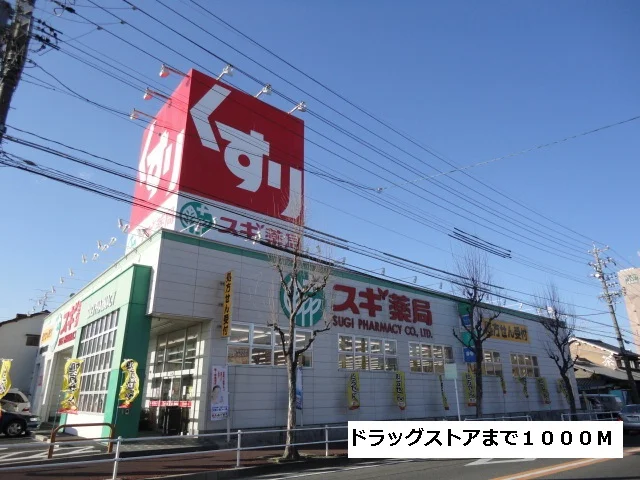 スギ薬局まで1000m