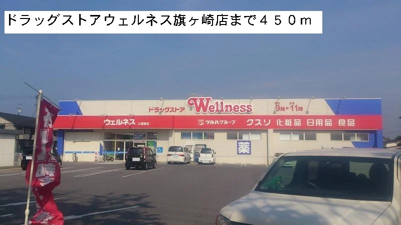 ウェルネス旗ヶ崎店まで450m