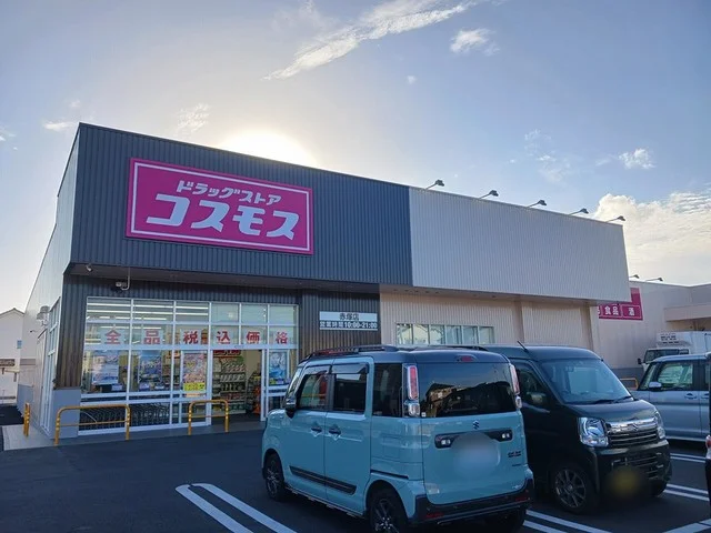 コスモス　赤塚店まで600m