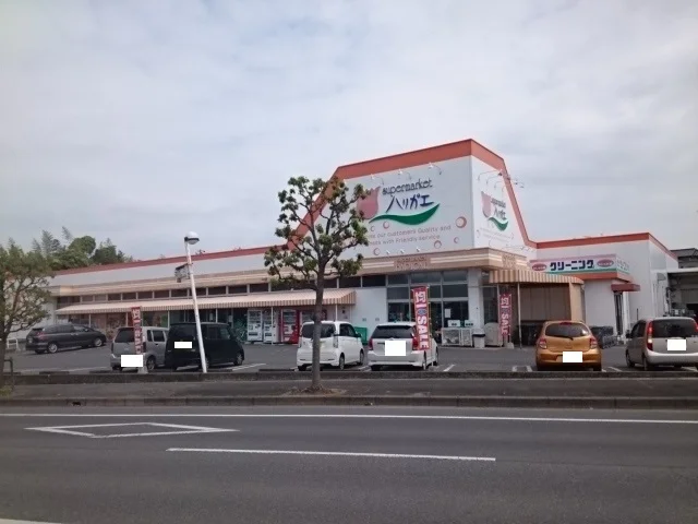 ハリガエまで550m