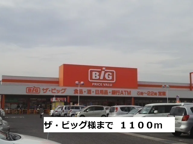 ザ・ビックまで1100m