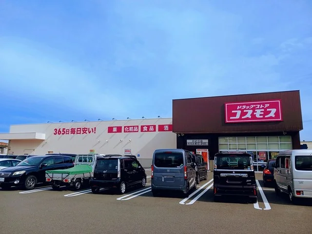 コスモス川之江店まで1076m