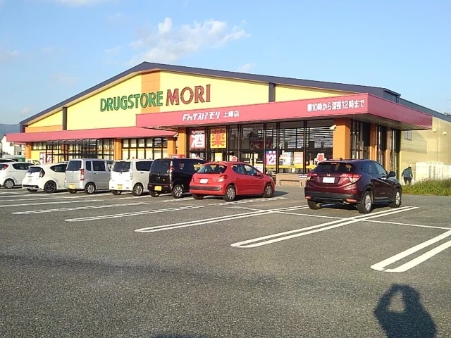 ドラッグストアモリ上峰店様まで540m