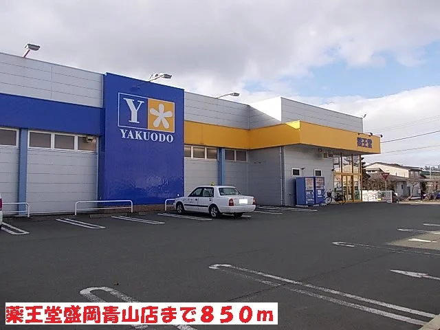 薬王堂盛岡青山店まで850m