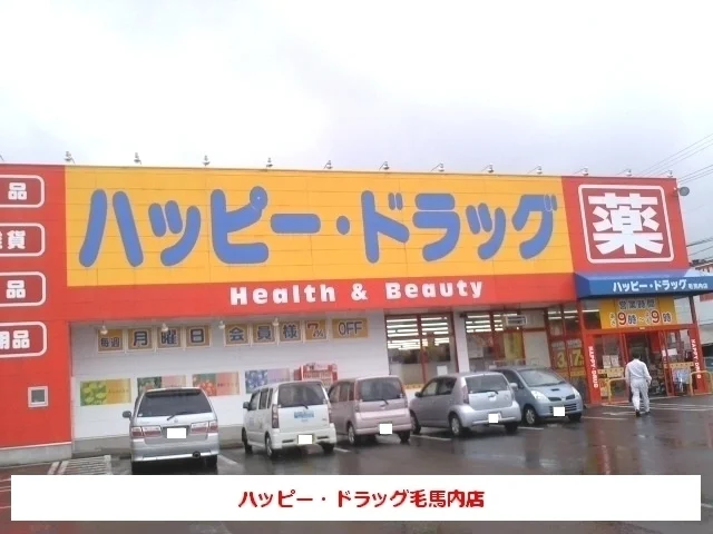 ハッピー・ドラッグ毛馬内店まで64m