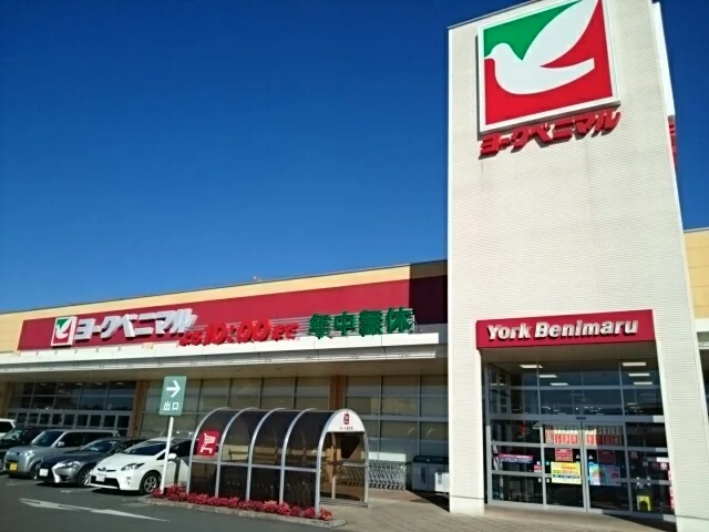 ヨークベニマル小山ゆうえんち店まで900m