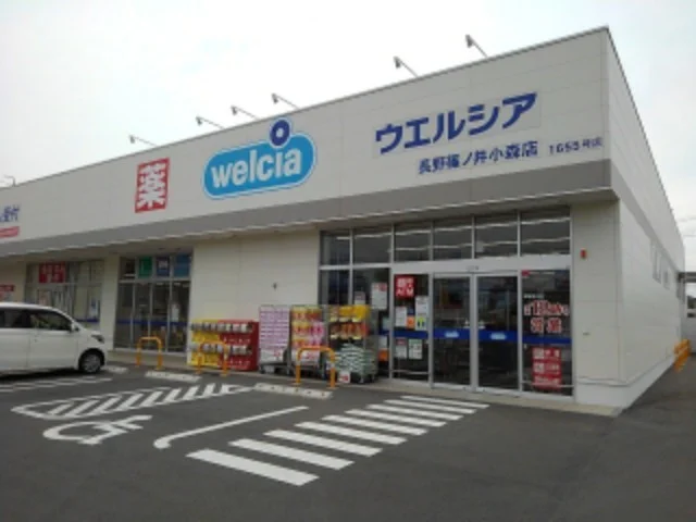 ウエルシア長野篠ノ井小森店まで300m