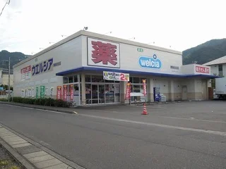 ウエルシア静岡あさはた店まで500m