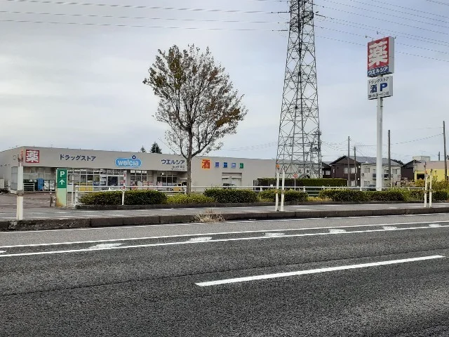 ウエルシア新潟中条店まで1700m
