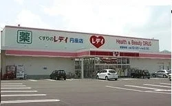 レディ薬局さんまで1100m