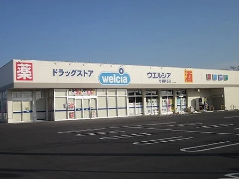 ウエルシア岩瀬鏡石店まで550m