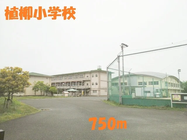 植柳小学校まで750m