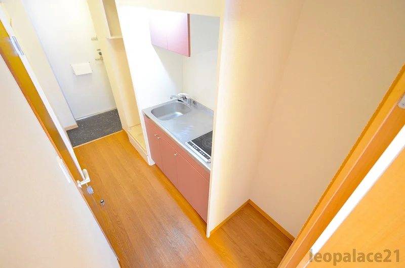 ※写真と現物が異なる場合は現物を優先いたします。