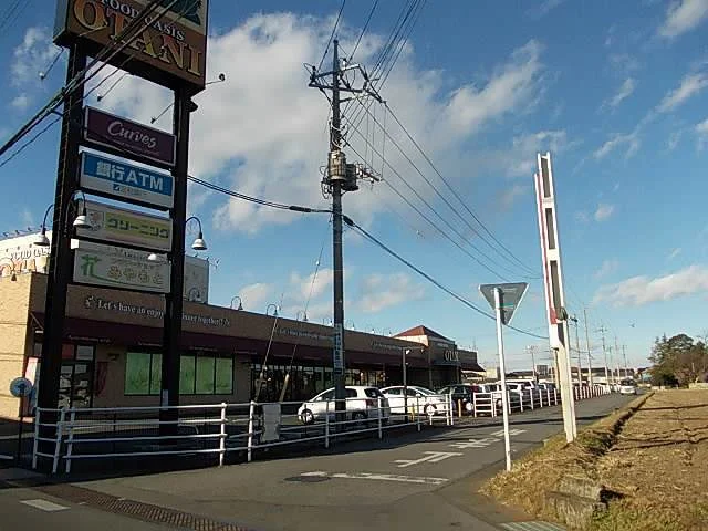 フードオアシスオータニ 平松店まで800m