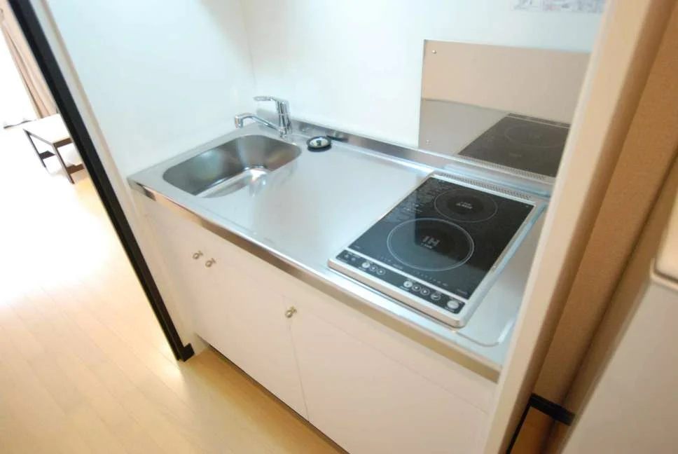 同タイプ写真の為、現況優先。