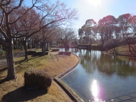 松見公園まで1700m
