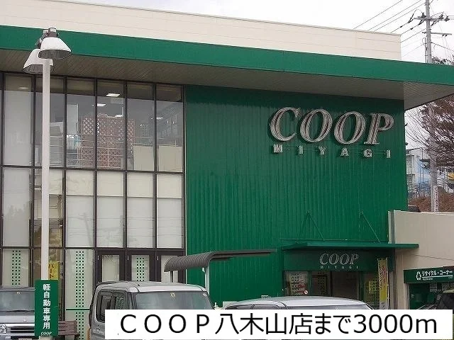 ＣＯＯＰ八木山店まで3000m