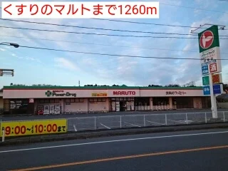 くすりのマルトまで1260m
