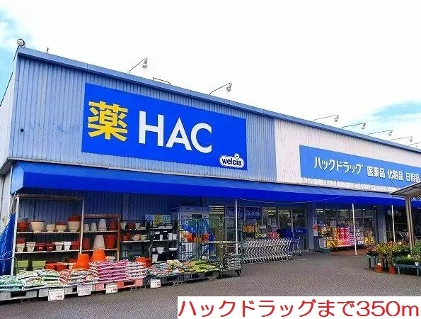 ハックドラッグまで350m