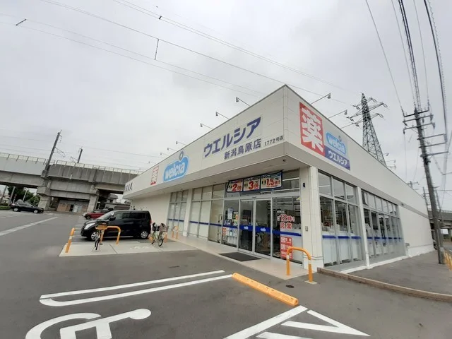 ウエルシア新潟鳥原店まで1300m