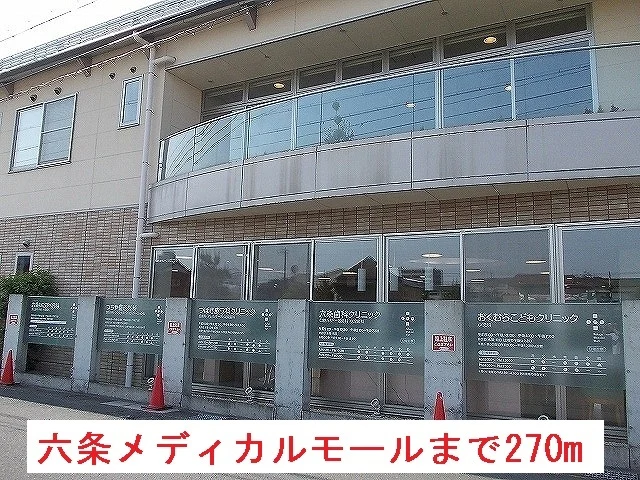 六条メディカルモールまで270m