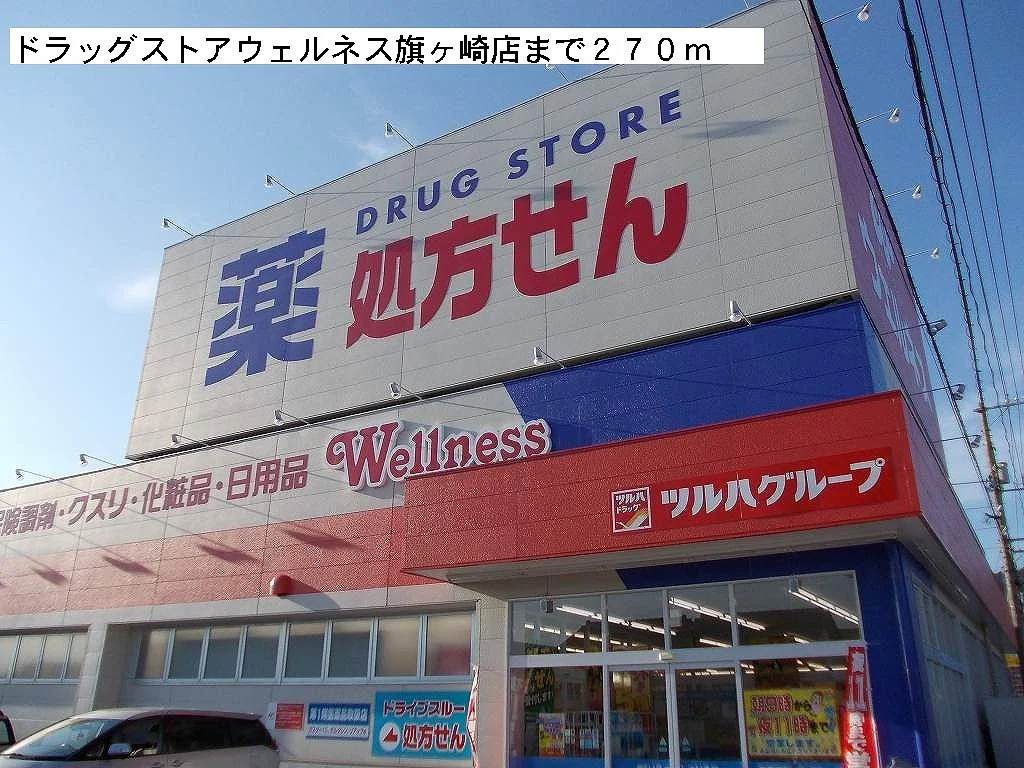 ウェルネス旗ヶ崎まで270m