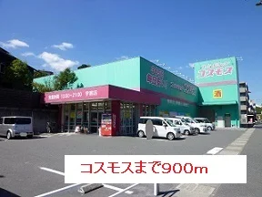 コスモスまで900m