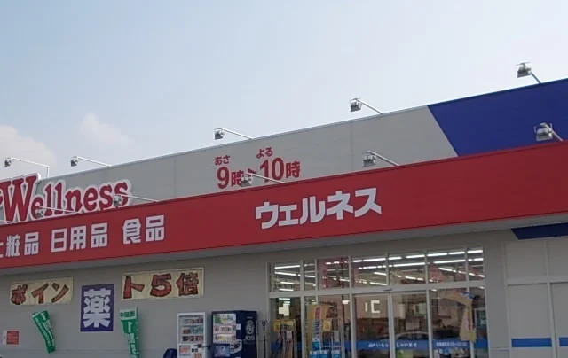 ウェルネス　淀江店まで1900m