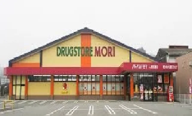 ドラッグストアモリ 人吉瓦屋店まで900m