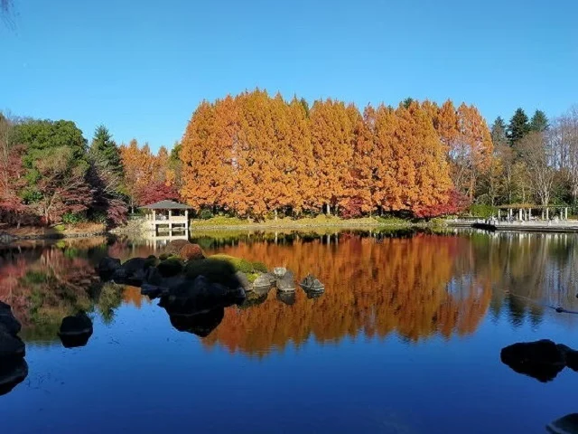中央公園まで700m