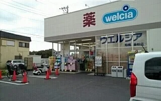 ウエルシア船橋金杉店まで1100m