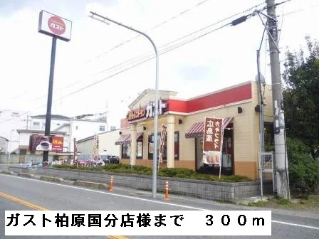 ガスト柏原国分店様まで300m