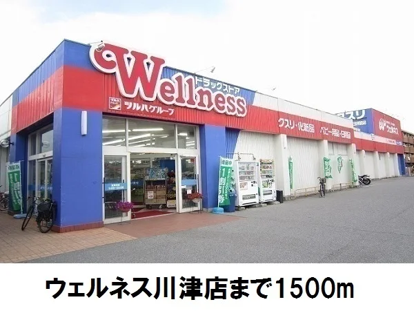 ウェルネス川津店まで1500m