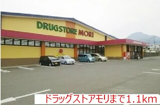 ドラッグストアモリまで1100m