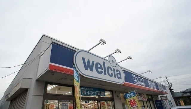 ウエルシア毛呂本郷店まで450m