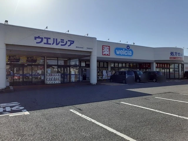 ウエルシア新潟太夫浜店まで1200m