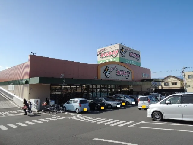 エブリィビックデー富士宮店まで1300m