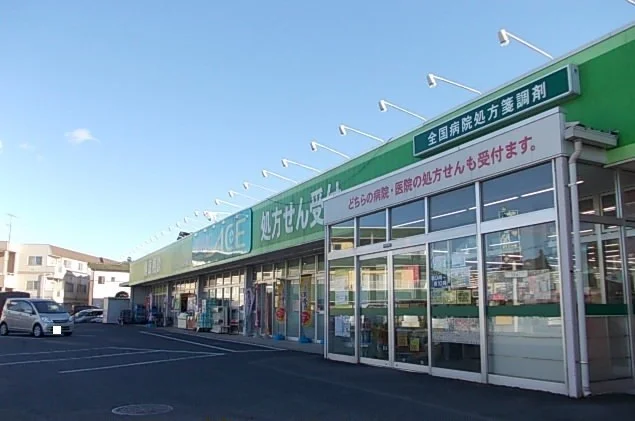 ドラッグエース箭弓町店まで540m