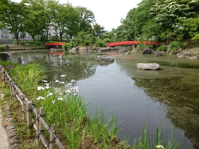 浜川運動公園まで1100m