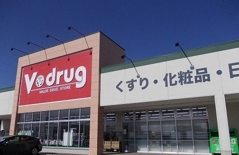 Ｖドラッグ豊川東店まで1100m