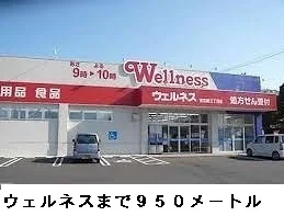ウェルネスまで950m