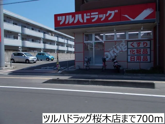 ツルハドラッグ桜木店まで700m