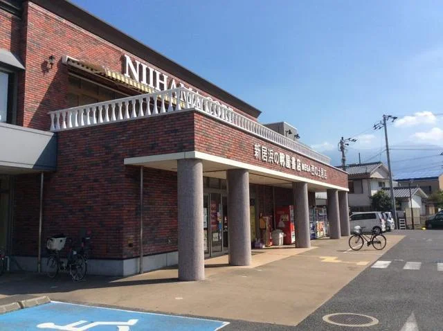 MEGA明屋書店西の土居店まで750m