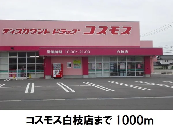 コスモス白枝店まで1000m