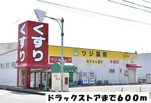 ツジ薬局まで600m