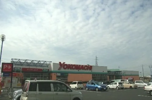 よこまちストア新井田店まで1500m